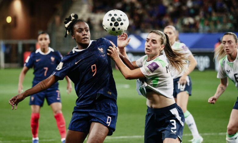 ¡Ya está! La selección francesa de fútbol se clasificó para el Mundial de Brasil ¡Ya está! La selección francesa de fútbol se clasificó para el Mundial de Brasil